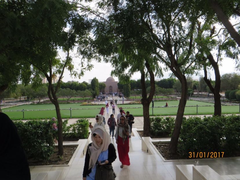  - Emirate 2_Vapor MSC_Muscat Oman