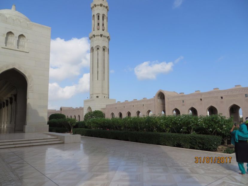  - Emirate 2_Vapor MSC_Muscat Oman