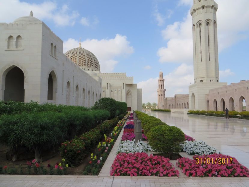  - Emirate 2_Vapor MSC_Muscat Oman