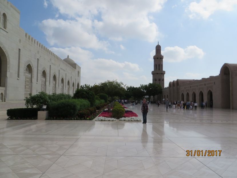  - Emirate 2_Vapor MSC_Muscat Oman