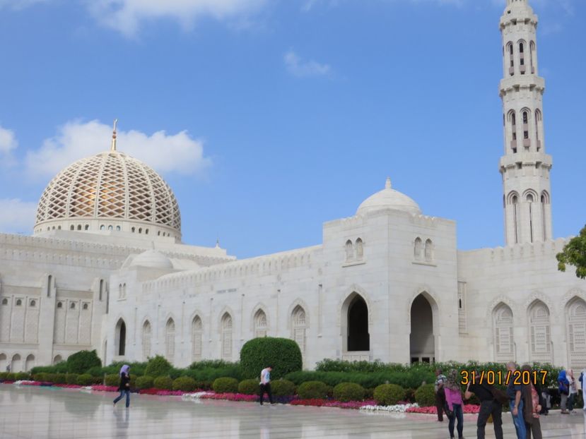  - Emirate 2_Vapor MSC_Muscat Oman