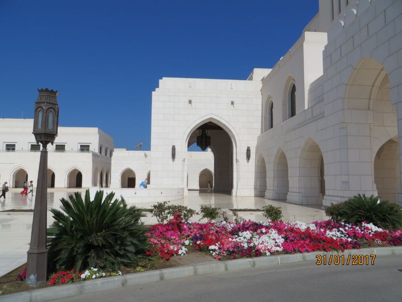  - Emirate 2_Vapor MSC_Muscat Oman