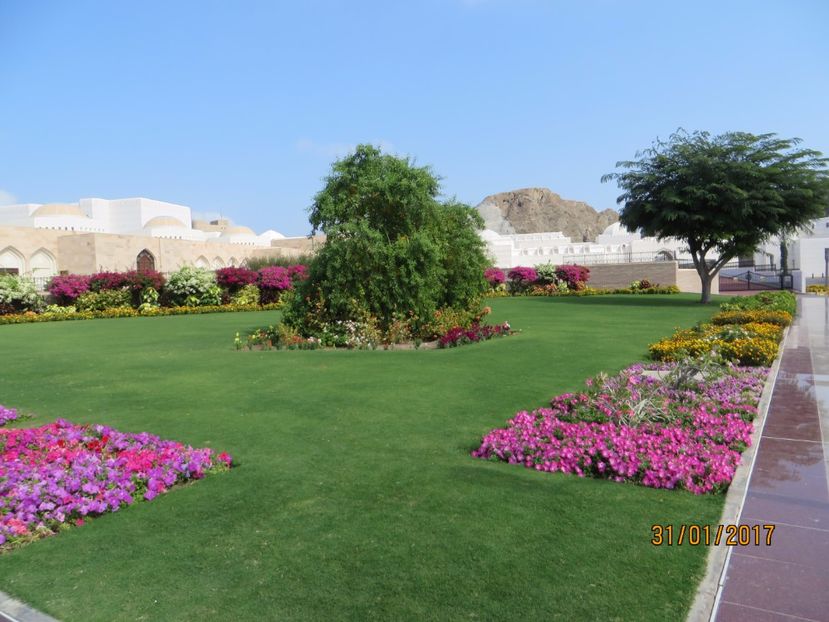  - Emirate 3 _Sharjah_Khasab_Dubai