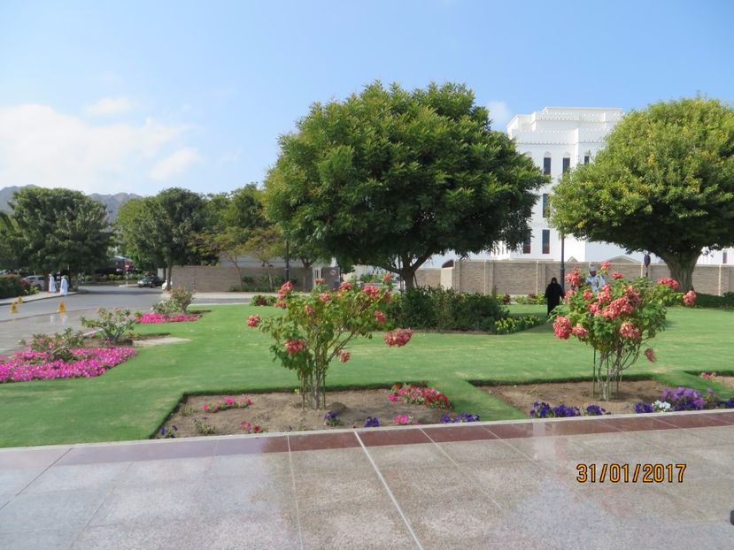  - Emirate 3 _Sharjah_Khasab_Dubai