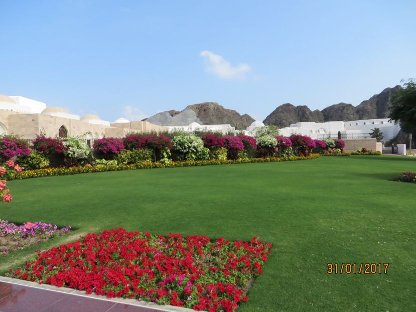  - Emirate 3 _Sharjah_Khasab_Dubai