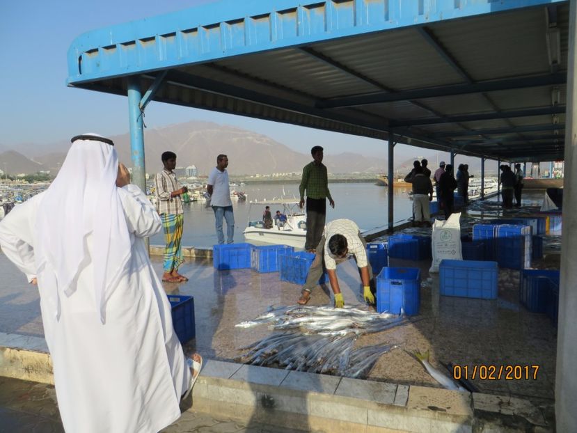  - Emirate 3 _Sharjah_Khasab_Dubai
