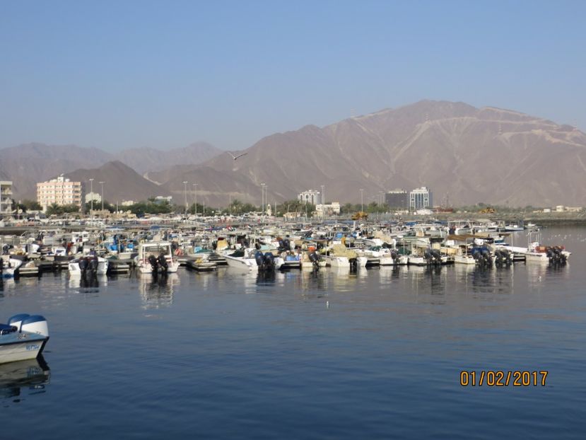  - Emirate 3 _Sharjah_Khasab_Dubai