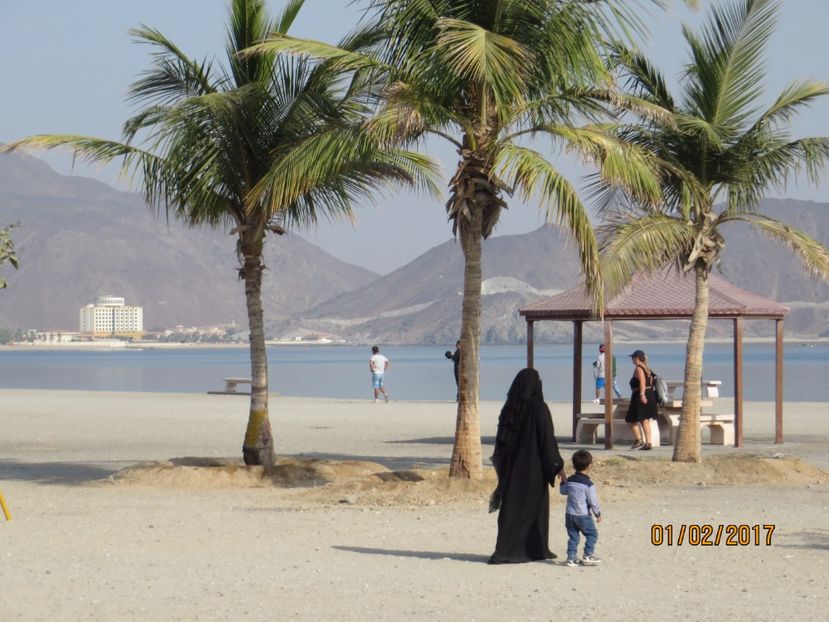  - Emirate 3 _Sharjah_Khasab_Dubai