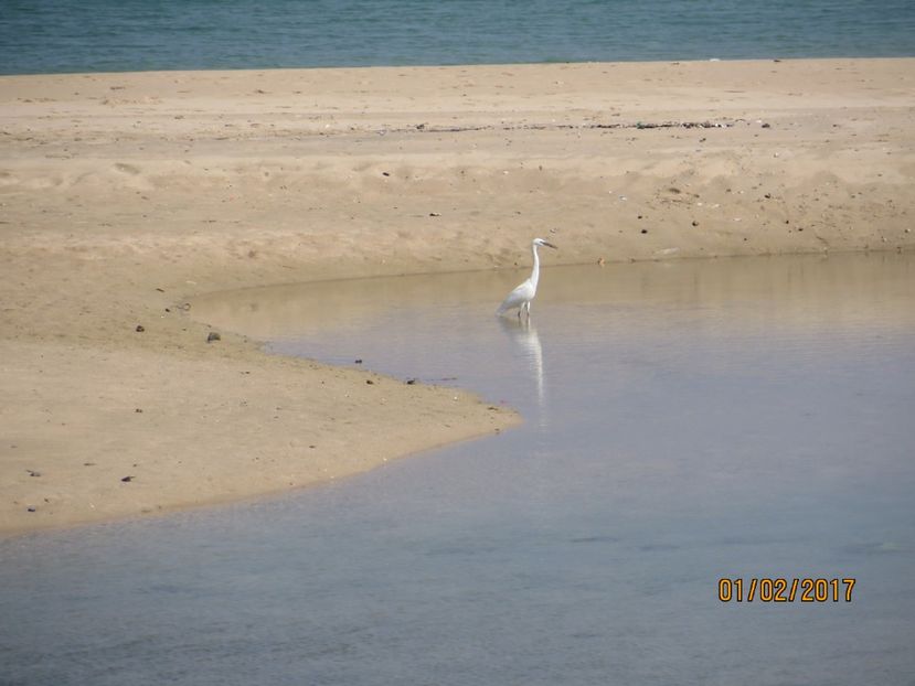  - Emirate 3 _Sharjah_Khasab_Dubai