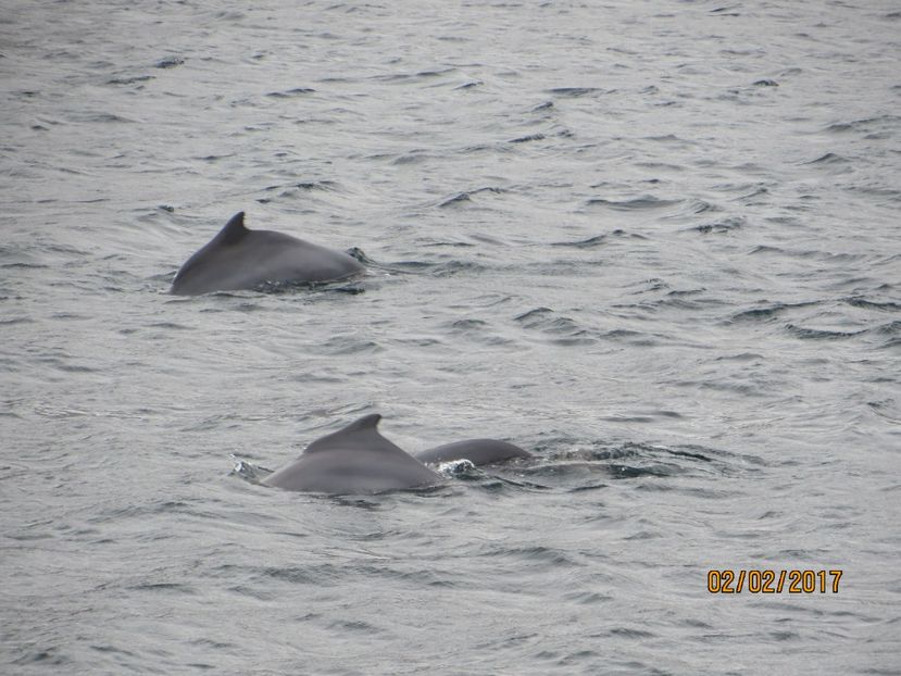  - Emirate 3 _Sharjah_Khasab_Dubai