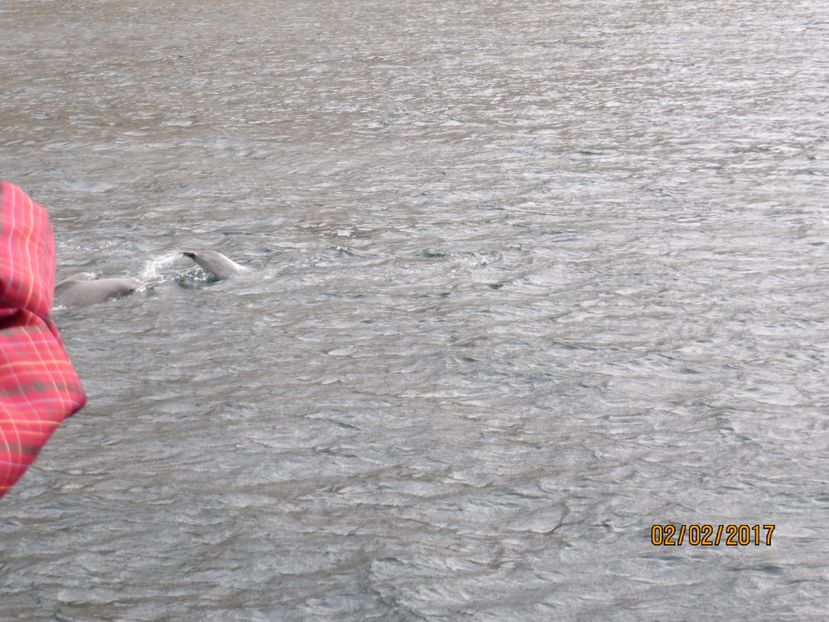  - Emirate 3 _Sharjah_Khasab_Dubai