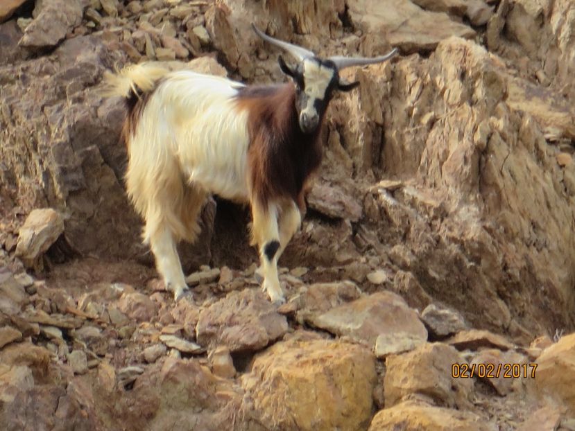  - Emirate 3 _Sharjah_Khasab_Dubai