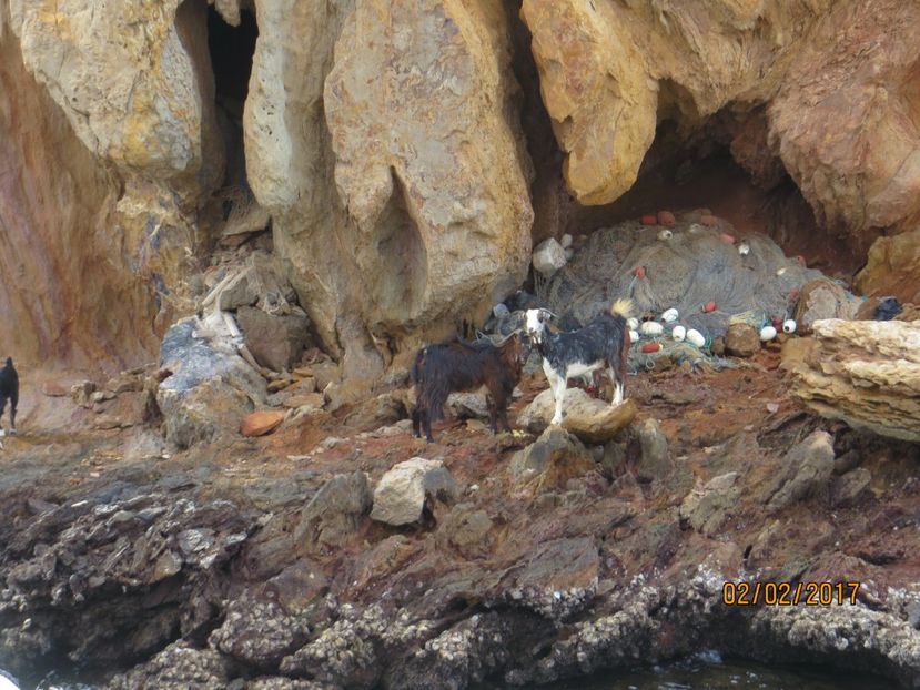  - Emirate 3 _Sharjah_Khasab_Dubai