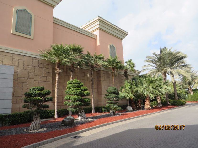  - Emirate 3 _Sharjah_Khasab_Dubai