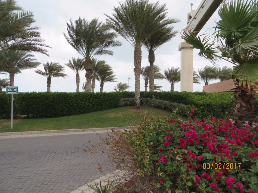  - Emirate 3 _Sharjah_Khasab_Dubai