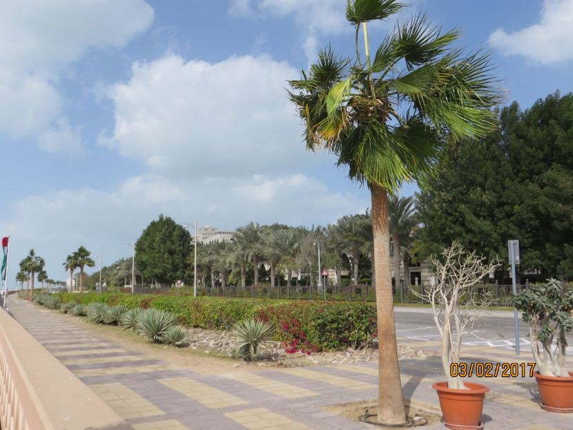  - Emirate 3 _Sharjah_Khasab_Dubai