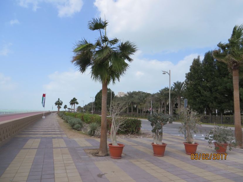  - Emirate 3 _Sharjah_Khasab_Dubai