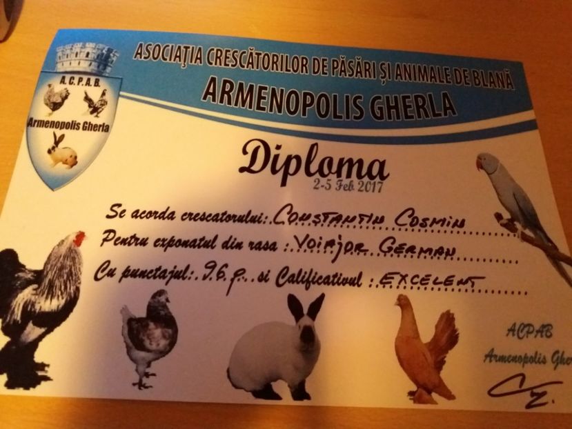 Gherla 2017 - Cupe si diplome