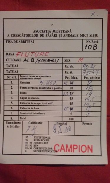  - Mascul RO 21- CAMPION SB 2017