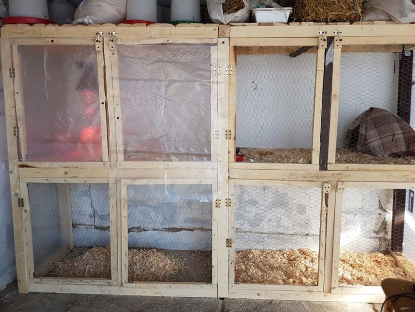 padocuri pui - VOLIERE