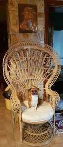 printesa mea - CONTACT