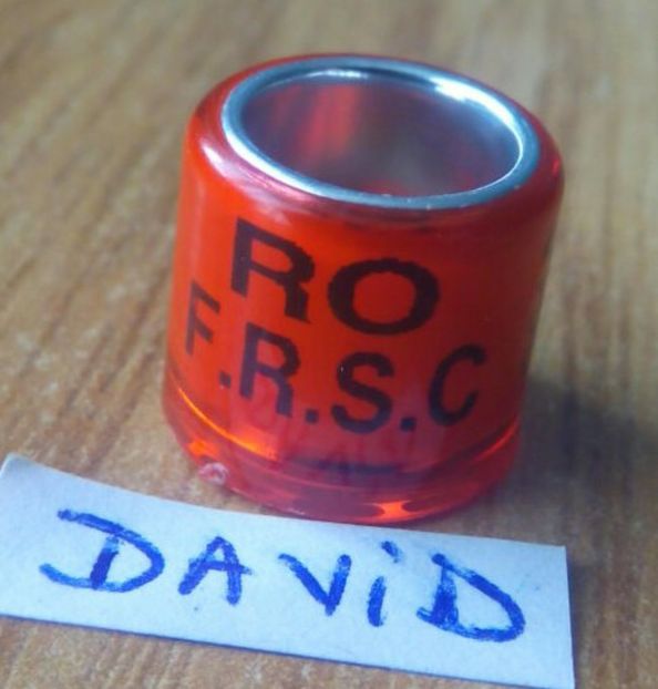 2016-Romania - Inele colectie de vanzare