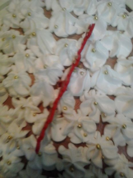 2016-01-06 18.55.19 - Flori 2016