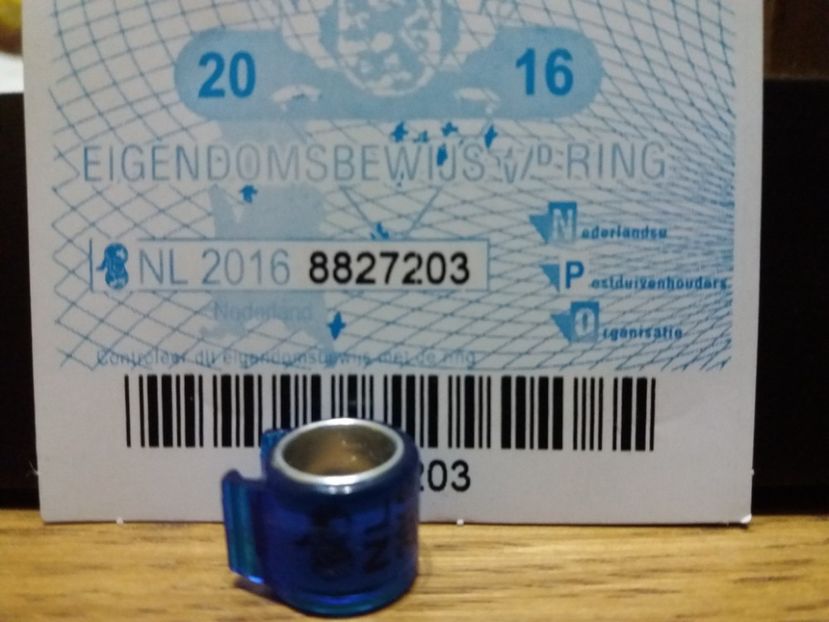 NL 2016  F C  I - OLANDA NL