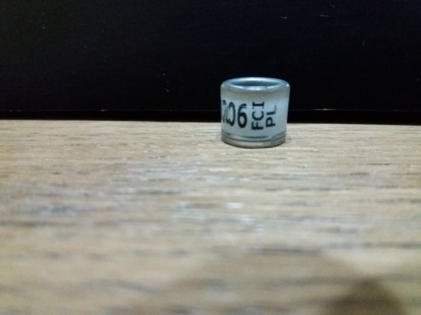 PL FCI 2O15 - INELE PENTRU SCHIMB csere gyuru