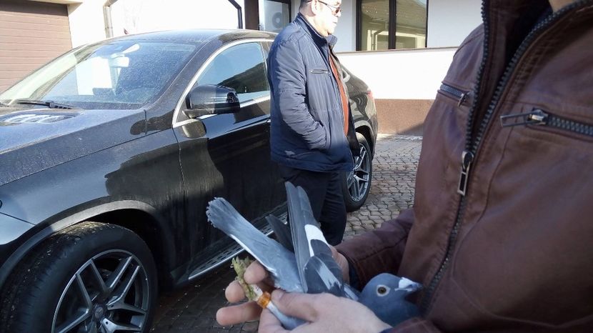 NL-14-1936278 M (5) - Catrinescu G Batenburga