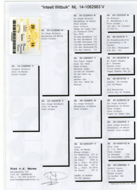 NL-14-1062963 F (14) - Catrinescu G Batenburga