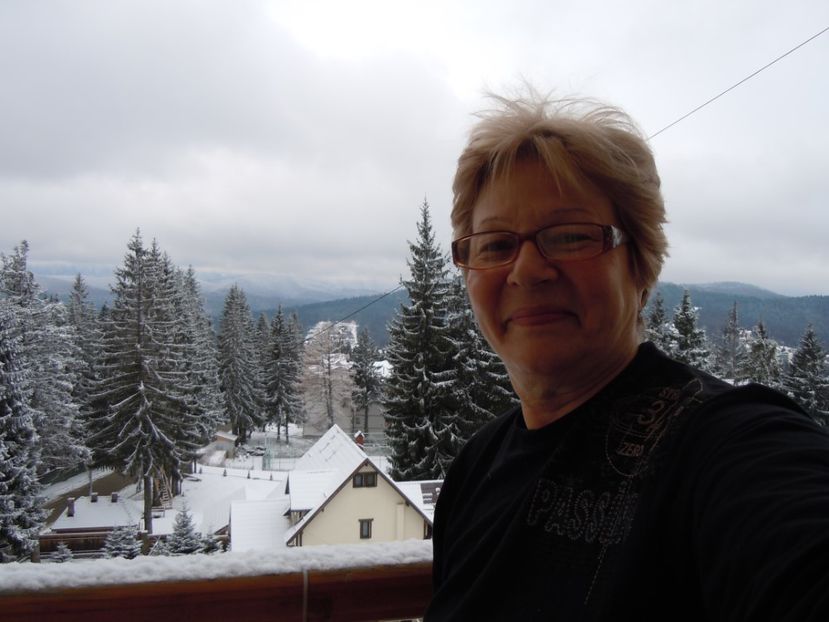 PREDEAL HOTEL BELVEDERE  28 NOV (3) - MINIVACANTA