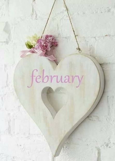  - FEBRUARIE 2017