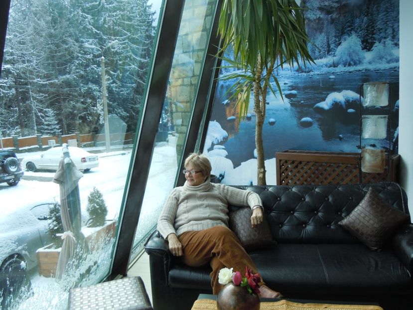 PREDEAL HOTEL BELVEDERE  28 NOV (29) - MINIVACANTA
