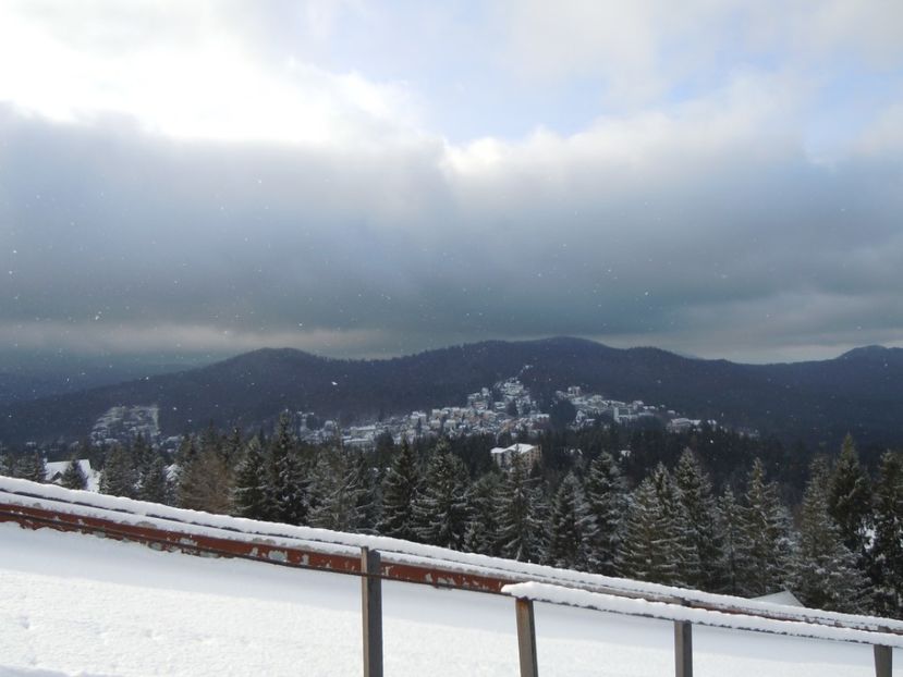 PREDEAL HOTEL BELVEDERE  28 NOV (39) - MINIVACANTA