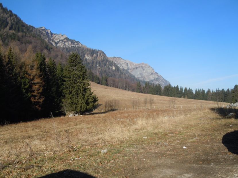 SINAIA POIANA STANA REGALA  (5) - MINIVACANTA