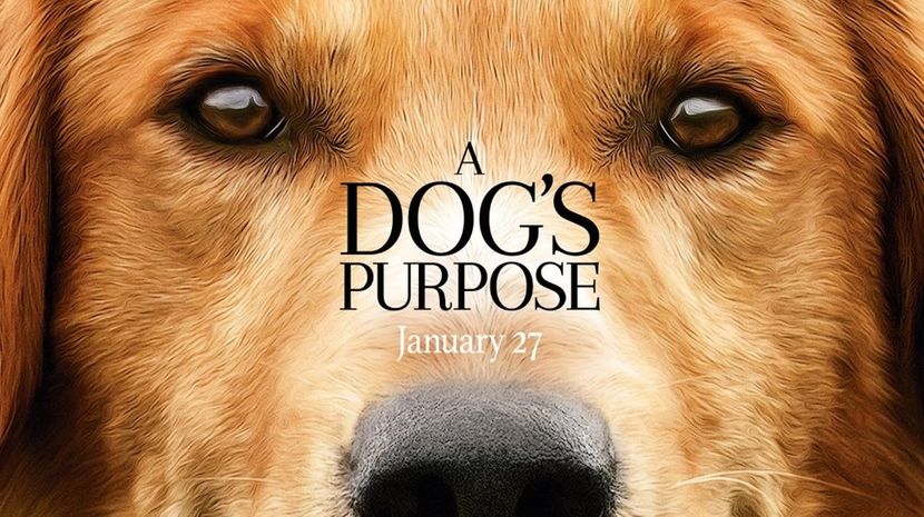 07feb2017 ”A Dog´s Purpose (2017)” ★★★★☆ - challenge movies