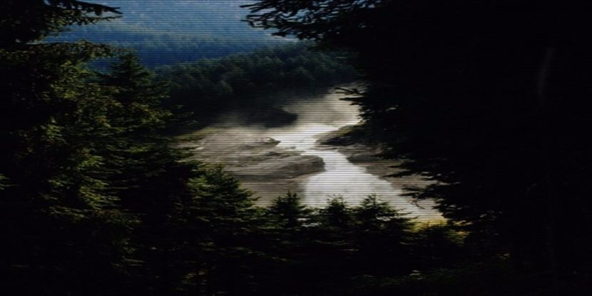 Iubesc pădurile de la munte. Știu că sună ciudat, dar sunt pădurile alea - Trust no feelings feel no pain