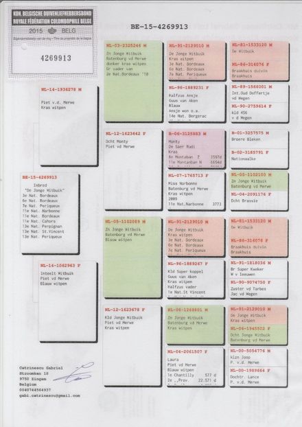 BEL15-4269913 INBRED JONGE WITBUIK - Catrinescu G Batenburga
