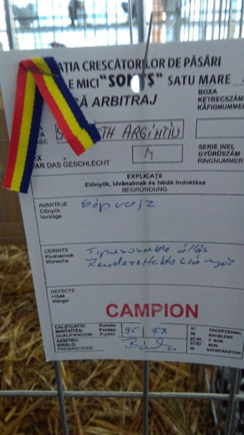  - EXPO SATU MARE 2017