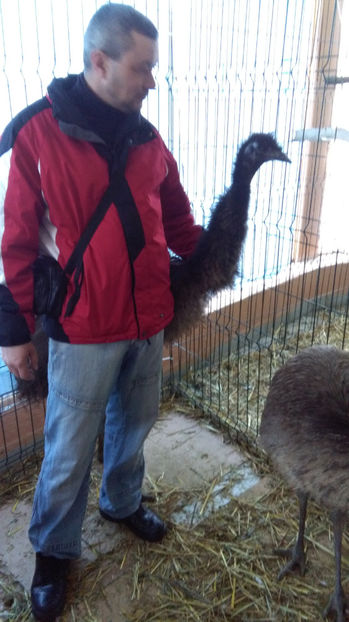  - EXPO SATU MARE 2017