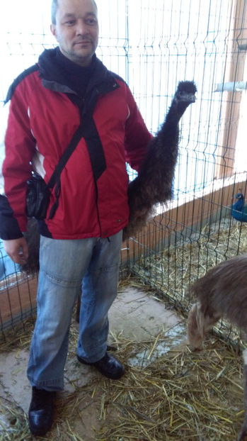  - EXPO SATU MARE 2017