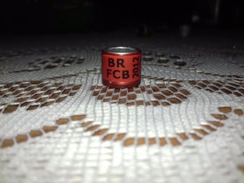 BRAZILIA 2012 - C BRAZILIA