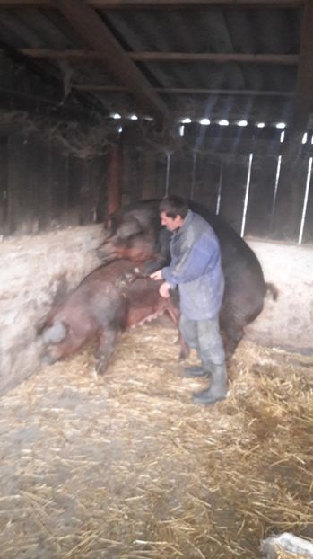 20 noiembrie - monte scrofe