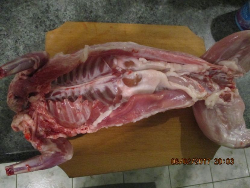 fem.9 luni - SACRIFICARI