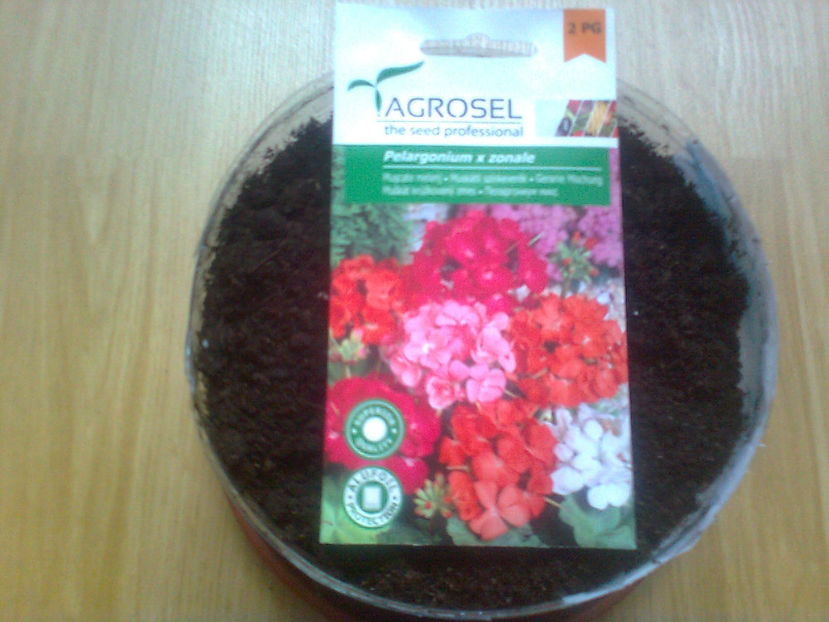 puse la germinat-9-02-2017... - MUSCATE -2017 - 2018