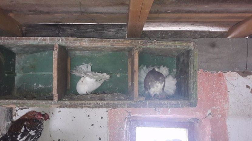 16652526_1373208472749191_1409203119_n - Copy - VaNzArE 2017