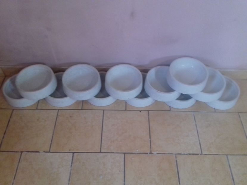  - V matrita cuibare voiajori