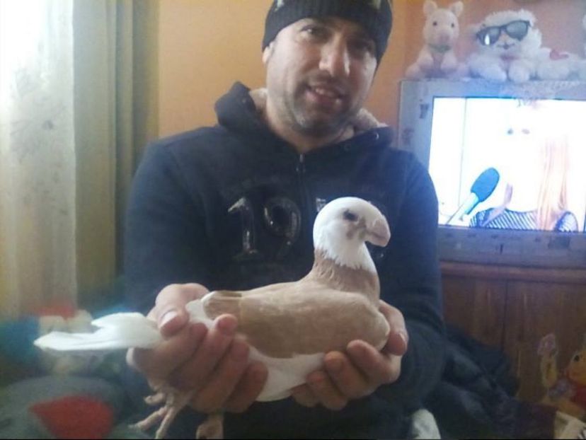  - germani