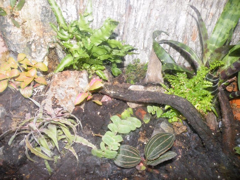  - Un nou proiect- miniterariu